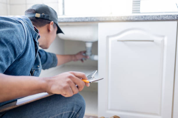 Best Clogged Drain Plumber  in Maroa, IL